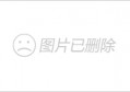 每日资讯